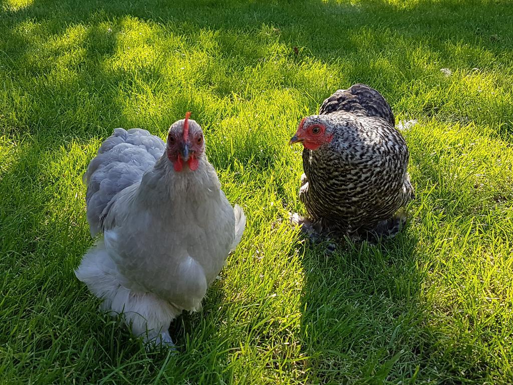 Het Stalhuys Daire Reeuwijk Dış mekan fotoğraf